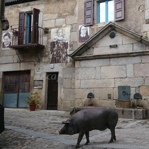 Casa Rural Amparo Guest House Mogarraz Exterior photo