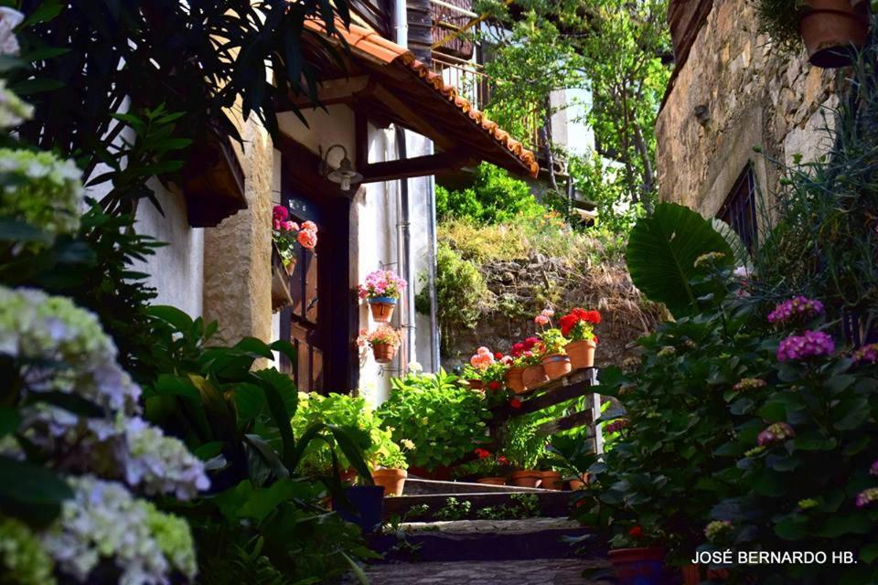 Casa Rural Amparo Guest House Mogarraz Exterior photo